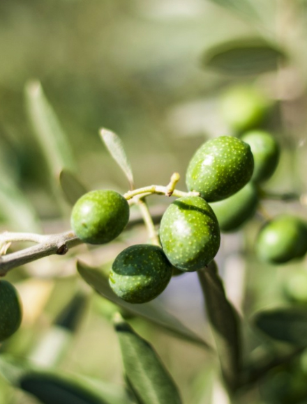 豪门国际·(中国游)官方网站