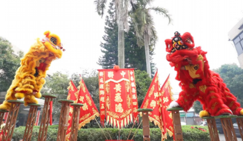 龙腾狮跃，，，，，，共铸绚烂未来！